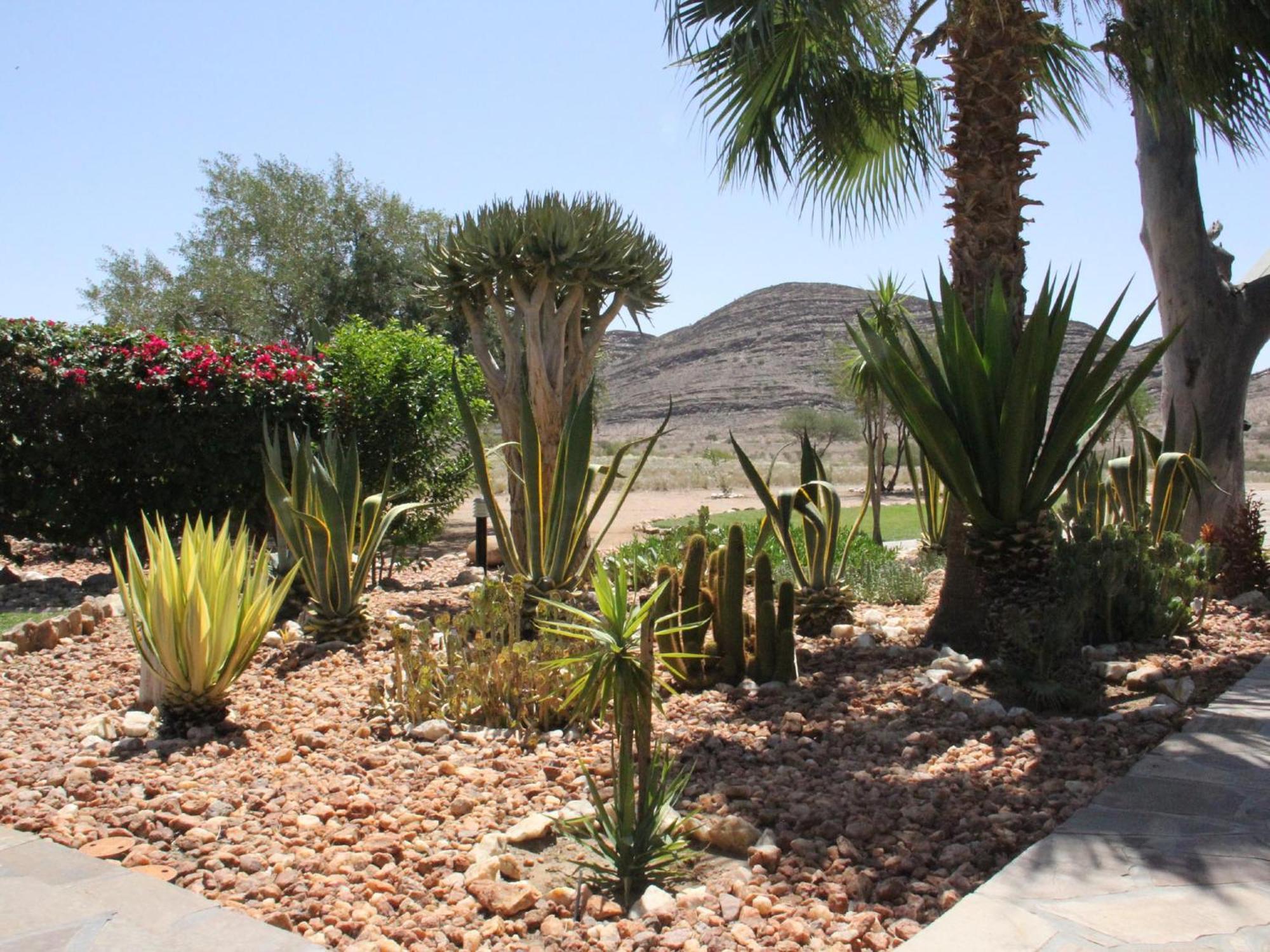 Rooisand Desert Ranch Chausib Oda fotoğraf